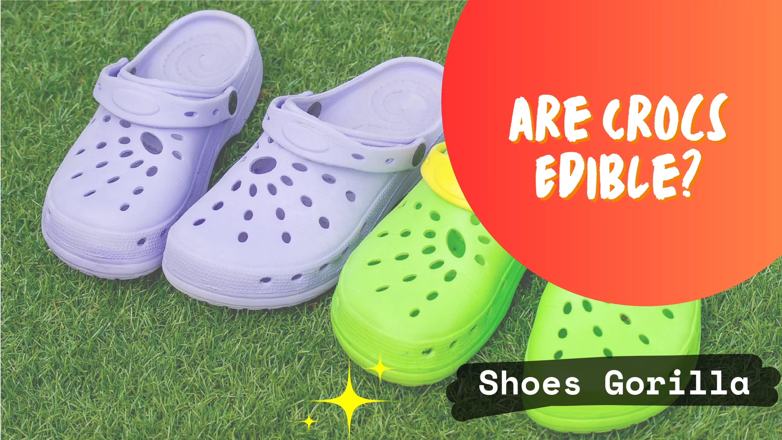 Are Crocs Edible? - [Things You May Now Know!]